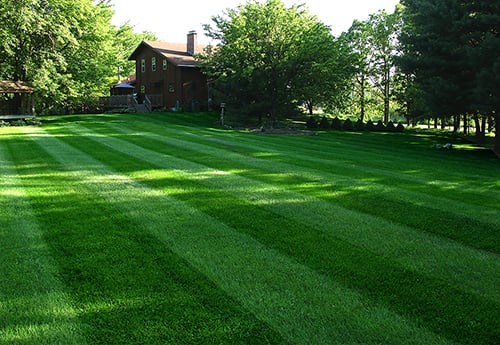  Tiger  Striper  Lawn Striping System Accessories Scag  