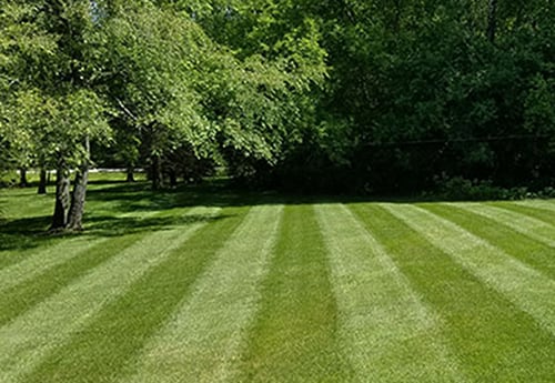 Lawn Striping and Lawn Patterns Pro Tips Scag  Power 